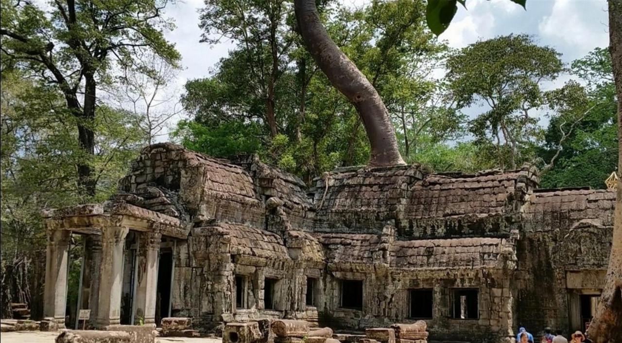 The Palmery Siem Reap Bagian luar foto